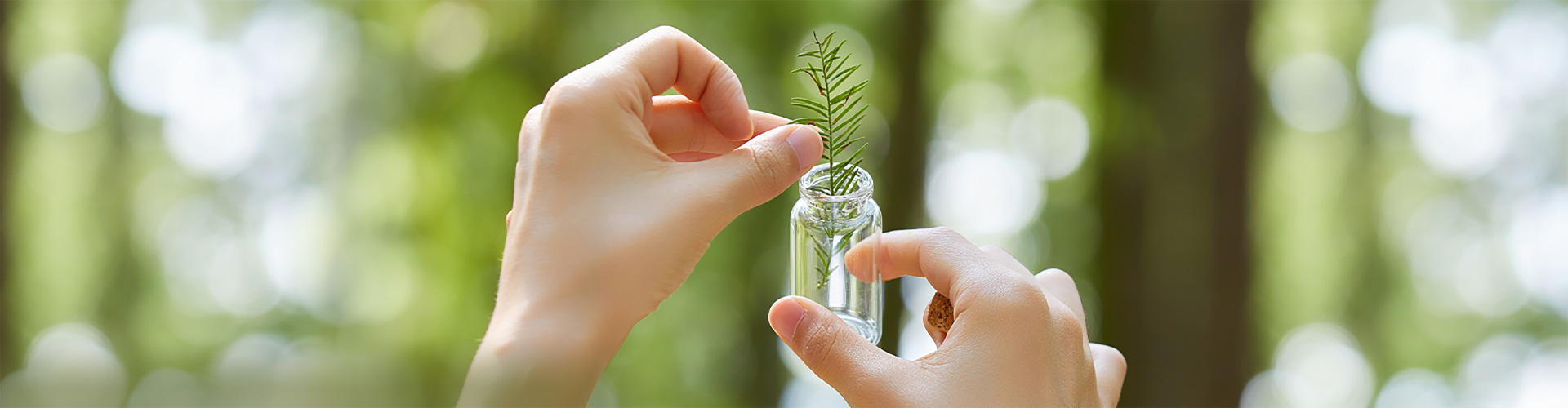 Environmental Governance