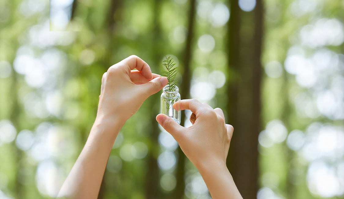 Environmental Governance